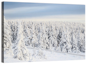 Harz Mountains Wall Art