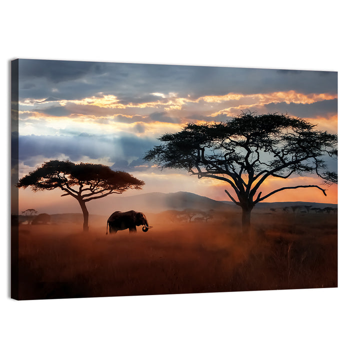 Savanna Elephant at Sunset Wall Art as a canvas print