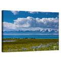 Song Kol Wildflower Shore Wall Art