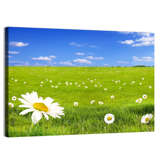 Spring Daisy Meadow Wall Art