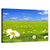 Spring Flowers Meadow Wall Art