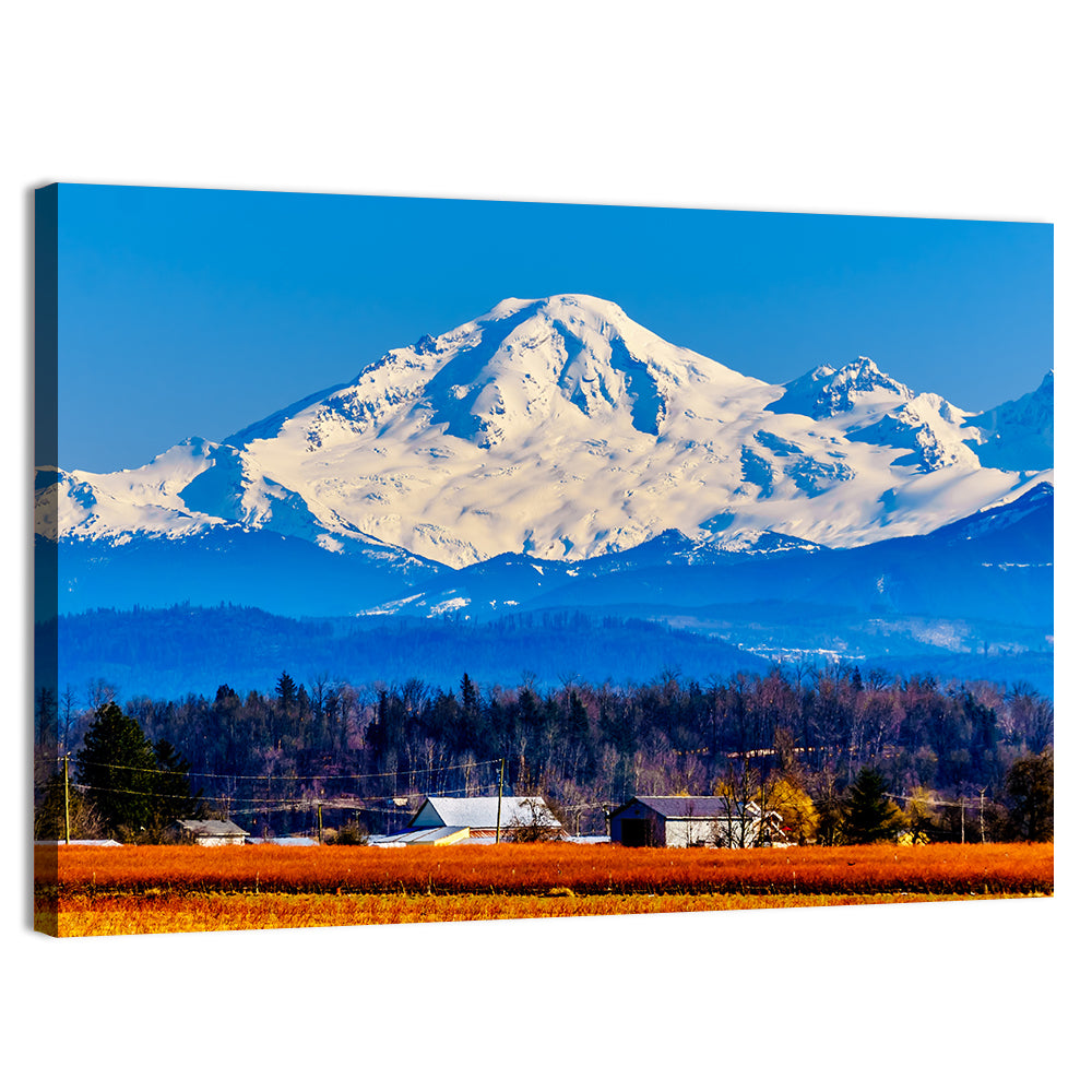 Mount Baker Fields Wall Art, canvas print, landscape