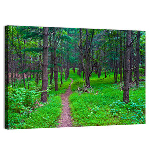 Virginia Forest Trail Wall Art