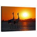 Red Crowned Cranes at Sunset Wall Art