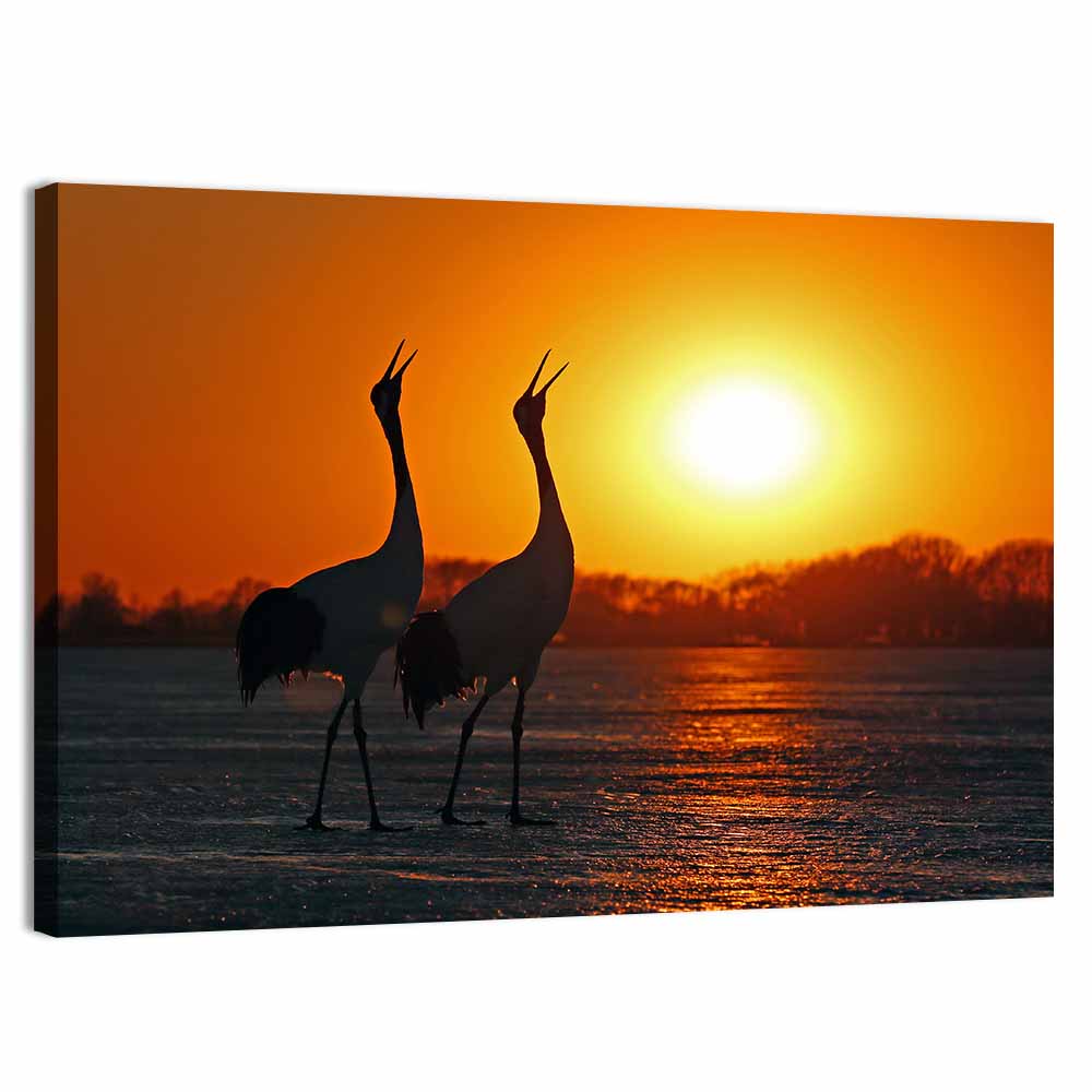 Red Crowned Cranes at Sunset Wall Art
