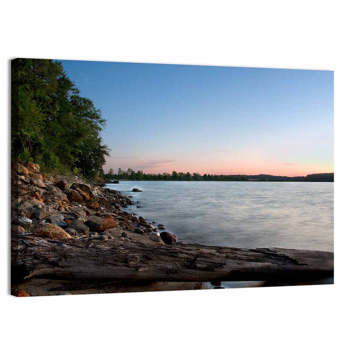 Lake Hartwell Driftwood Shoreline Wall Art as a canvas print
