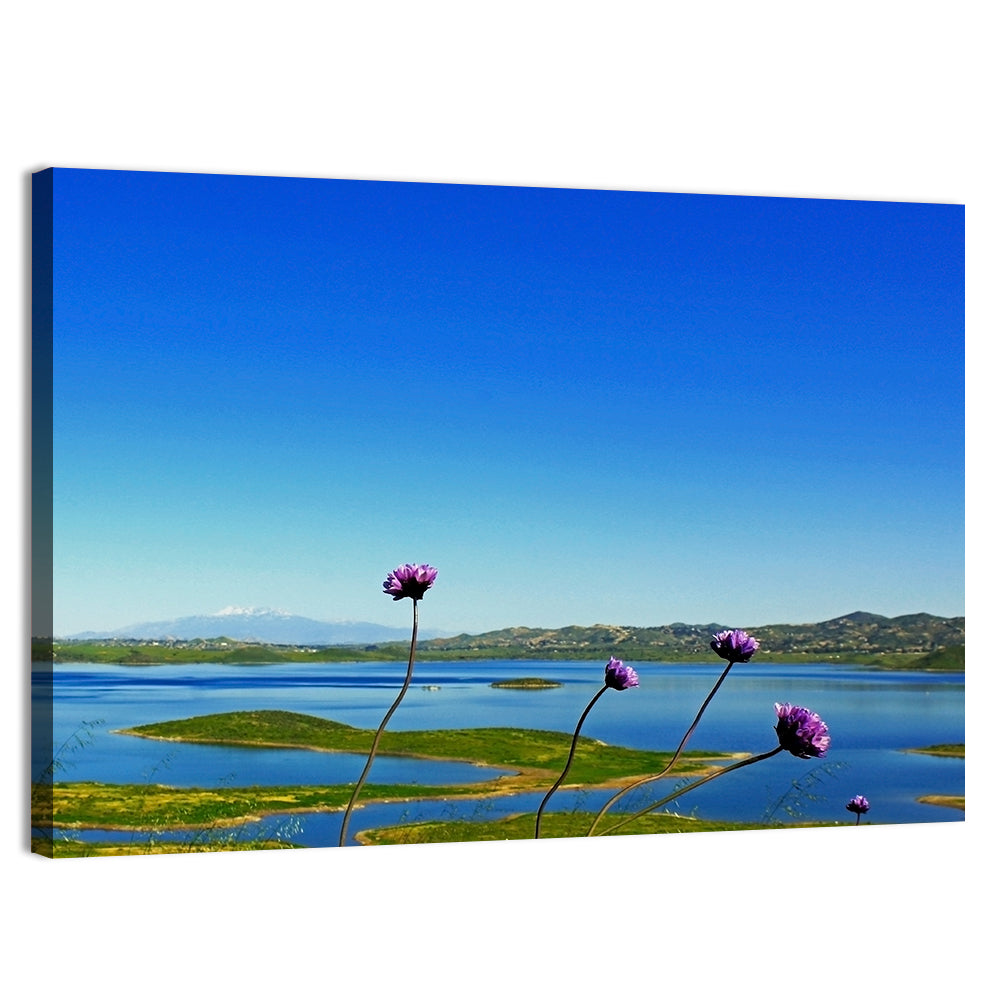 Lake Mathews Wildflower View Wall Art