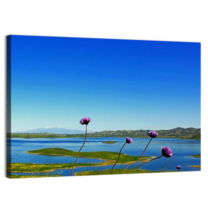 Lake Mathews Wildflower View Wall Art