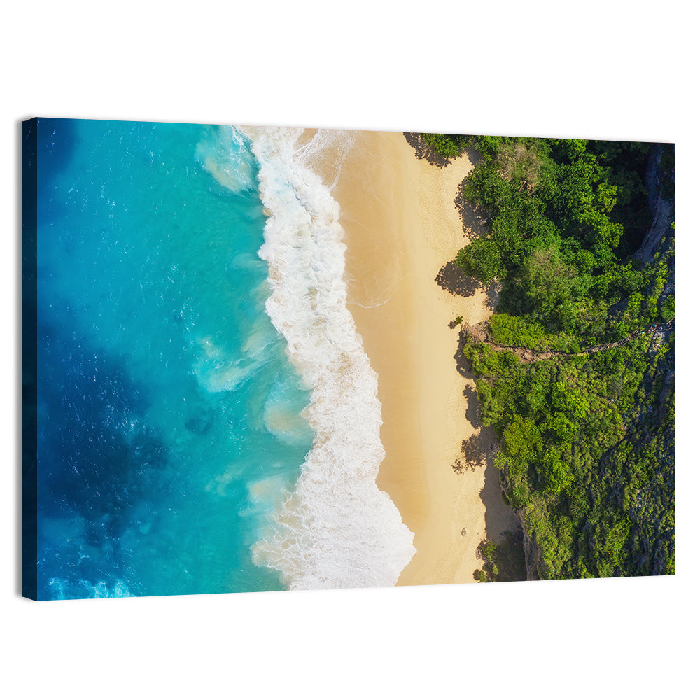 Aerial Turquoise Beach View Wall Art