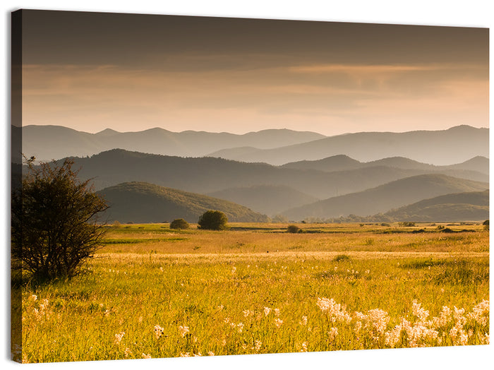 Golden Hour Countryside Hills Wall Art as a canvas print