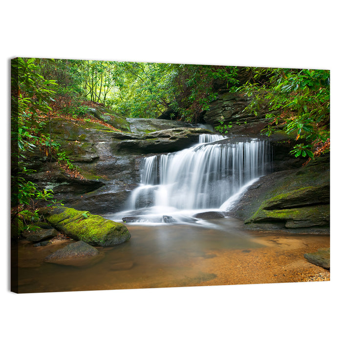 Blue Ridge Mossy Waterfall Wall Art as a canvas print