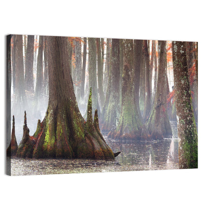 Chicot State Park Morning Fog Wall Art