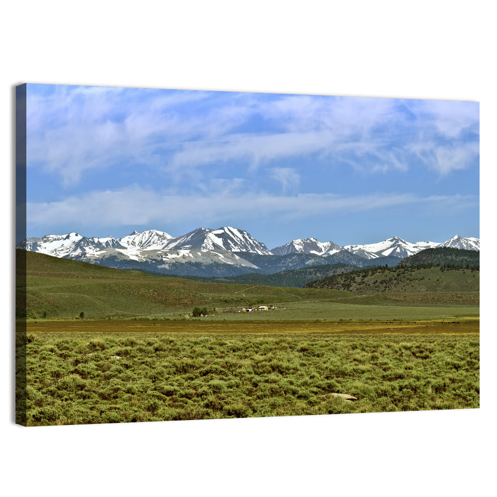 Sierra Nevada Sagebrush Plains Wall Art, canvas print, landscape
