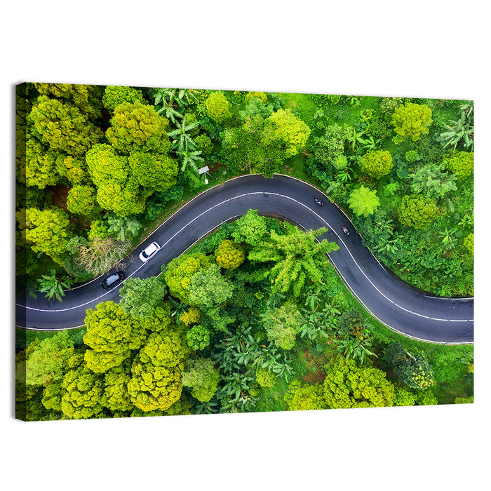 Winding Tropical Forest Road Wall Art as a canvas print