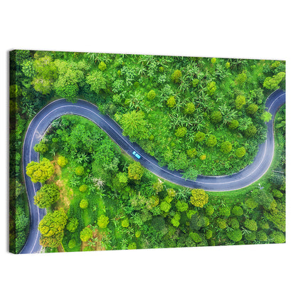 Blue Car on Summer Forest Road Wall Art