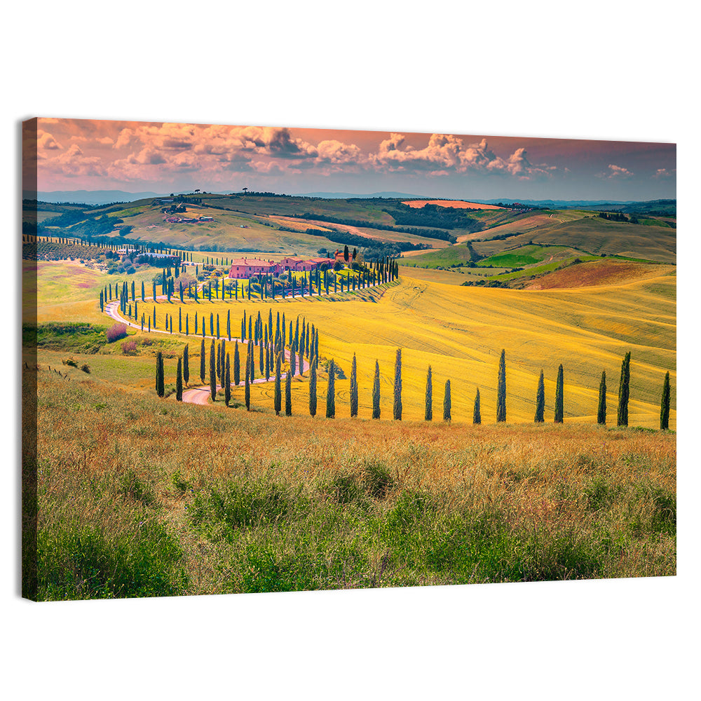 Val D'orcia Cypress Road Wall Art, canvas print, landscape