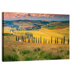 Val D'orcia Cypress Road Wall Art