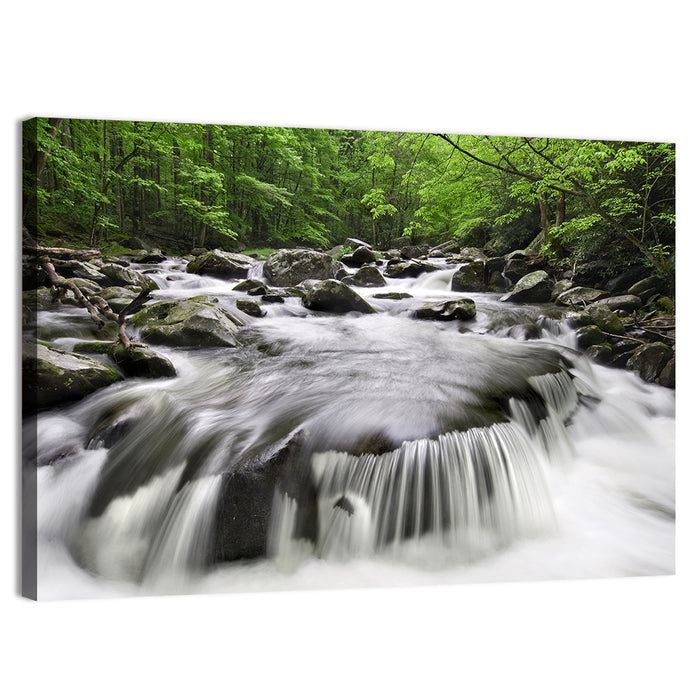 Smoky Mountains Cascading Stream Wall Art as a canvas print