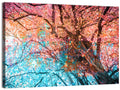 Autumn Canopy Abstract Wall Art
