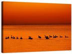 Geese Silhouettes at Orange Sunset Wall Art