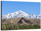 Afghan Snow-capped Peaks Above Forested Foothills Wall Art