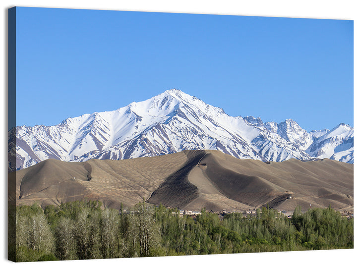 Afghan Snow-capped Peaks Above Forested Foothills Wall Art