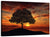 Birds Tree and Sunset Wall Art