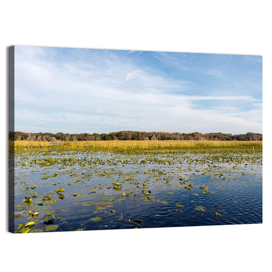 Cloudy Lake Toho Wall Art