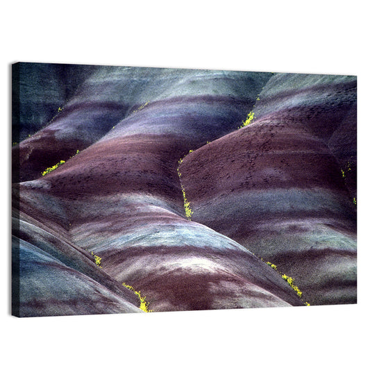 John Day Fossil Beds Wall Art