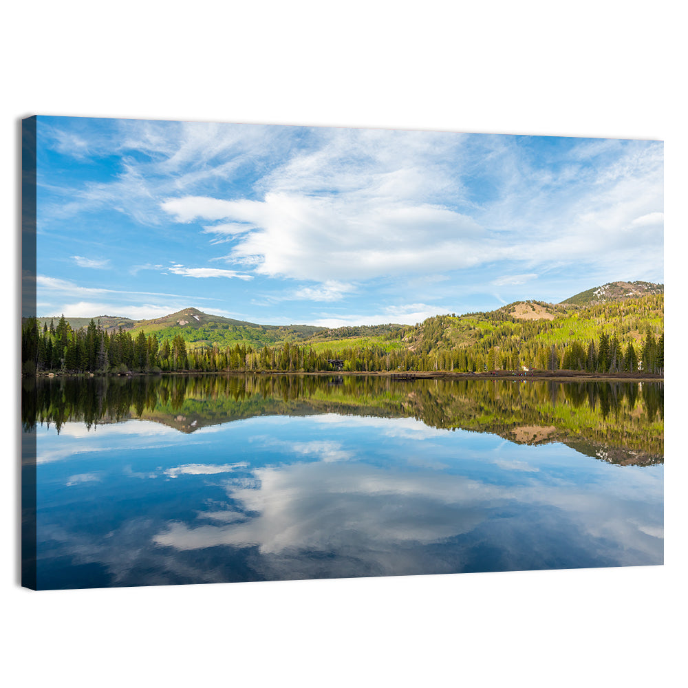 Silver Lake Reflection Wall Art