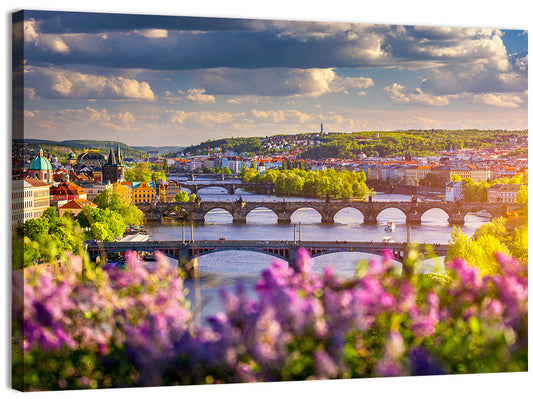 Vltava River Prague Wall Art