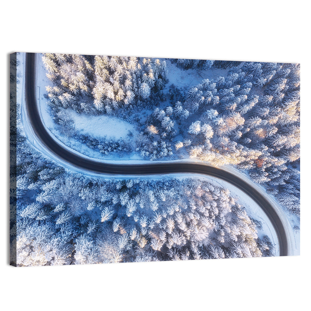 Snowy Forest Road at Golden Hour Wall Art