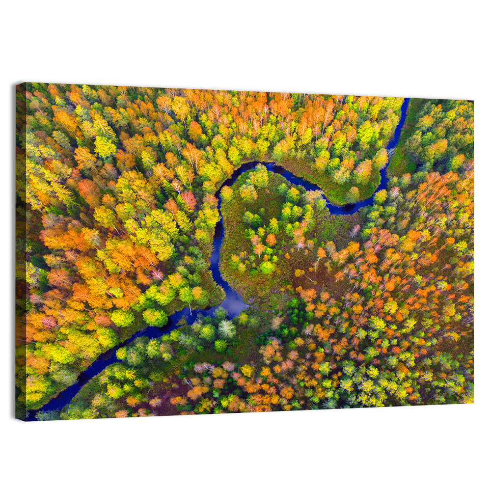 Winding Autumn River Wall Art, canvas print, landscape