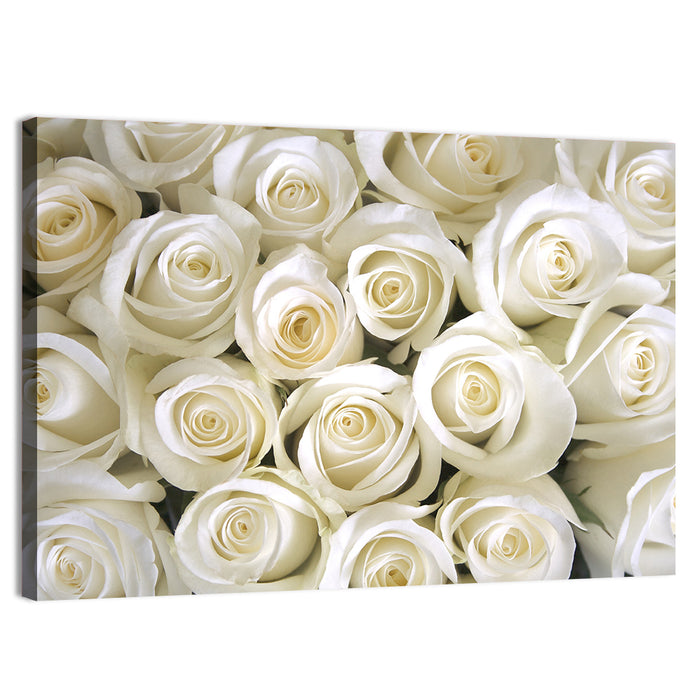 Silky Roses Wall Art as a canvas print