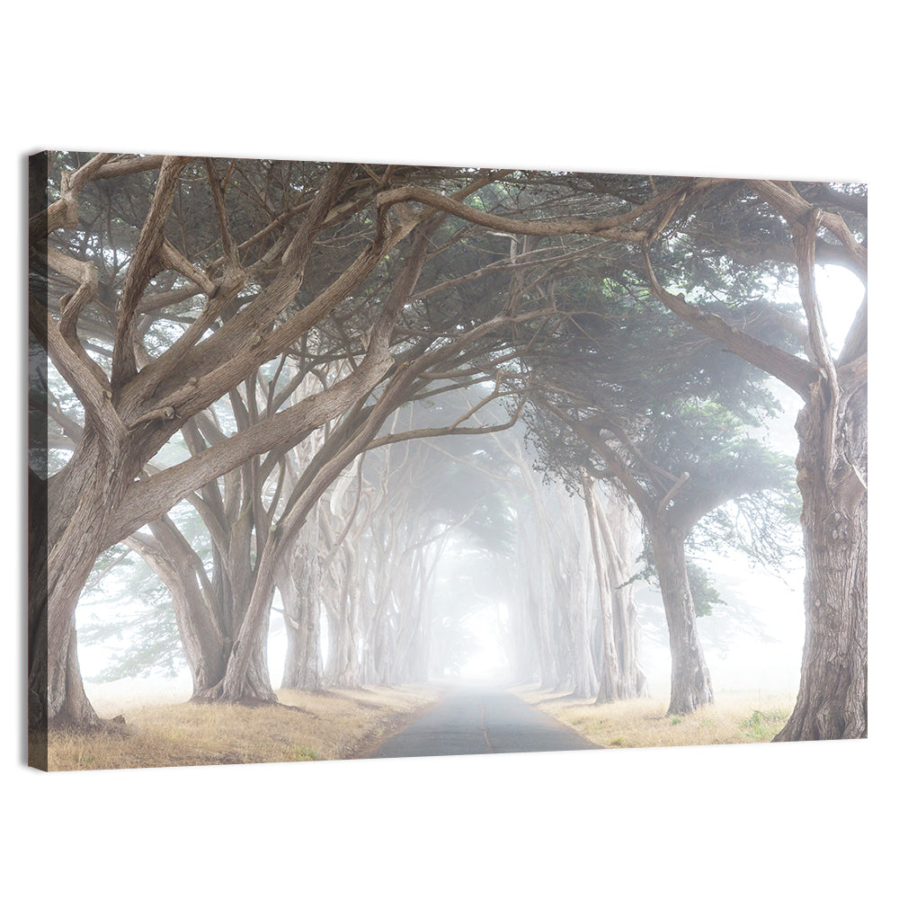 Misty Cypress Tunnel Wall Art