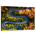 Serpentine Forest Road Wall Art