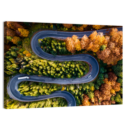 Serpentine Forest Road Wall Art