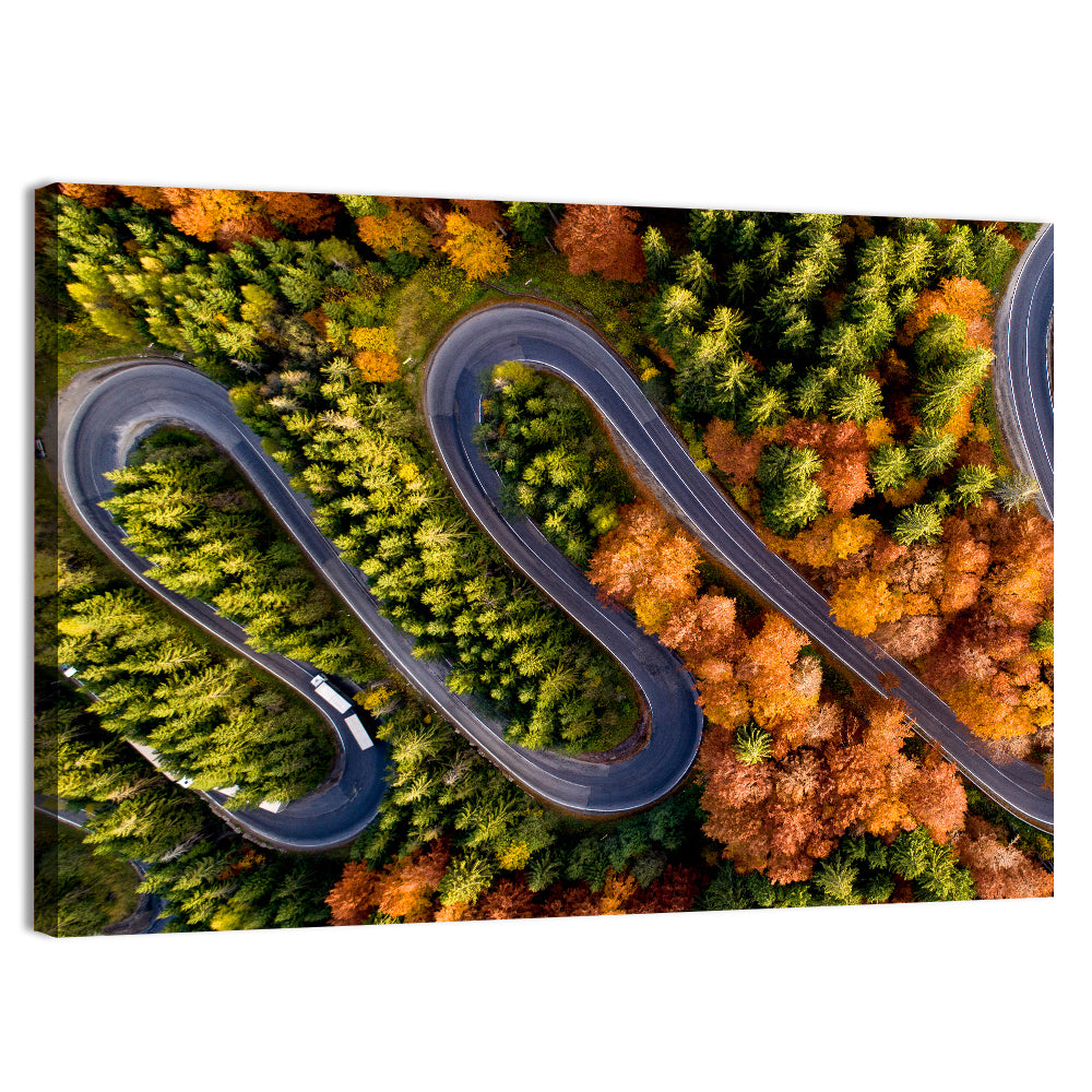 Autumn Aerial Mountain Road Wall Art, canvas print, landscape