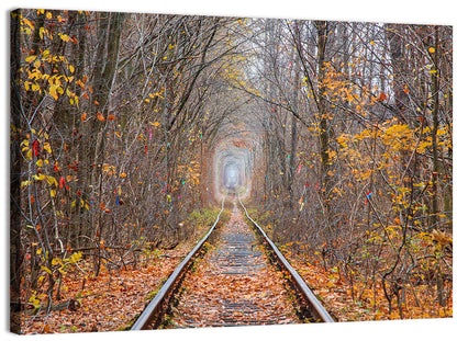 Klevan Tunnel of Love Wall Art