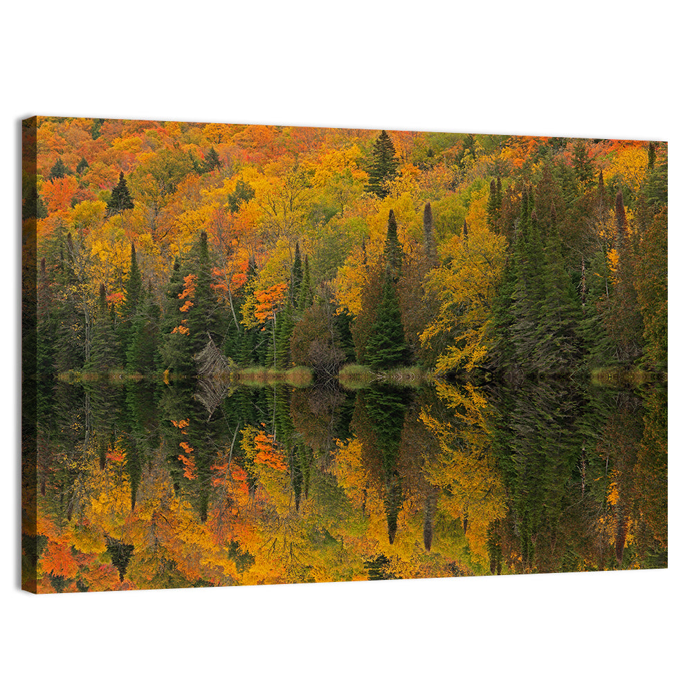 Ottawa National Forest Autumn Reflection Wall Art
