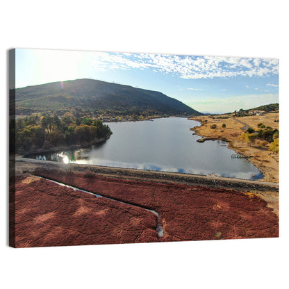 Lake Cuyamaca Aerial View Wall Art
