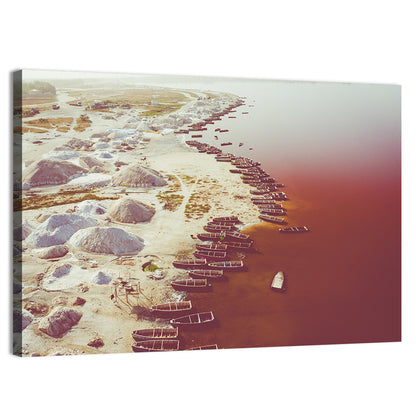 Lake Retba Shoreline Aerial Wall Art