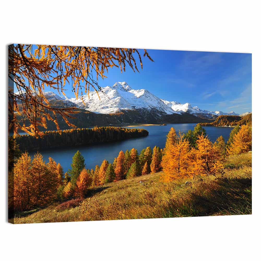 Silsersee Larches and Swiss Alps Wall Art