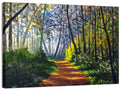 Sunlit Forest Alley Path Wall Art