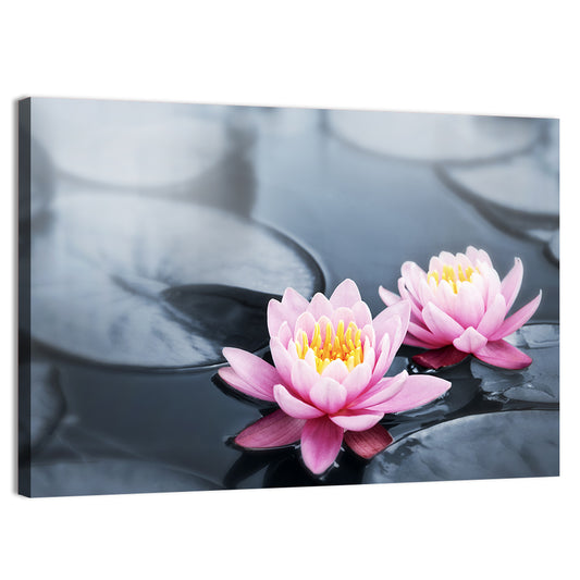 Pink Water Lilies Wall Art
