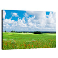 Summer Meadow with Poppies Wall Art