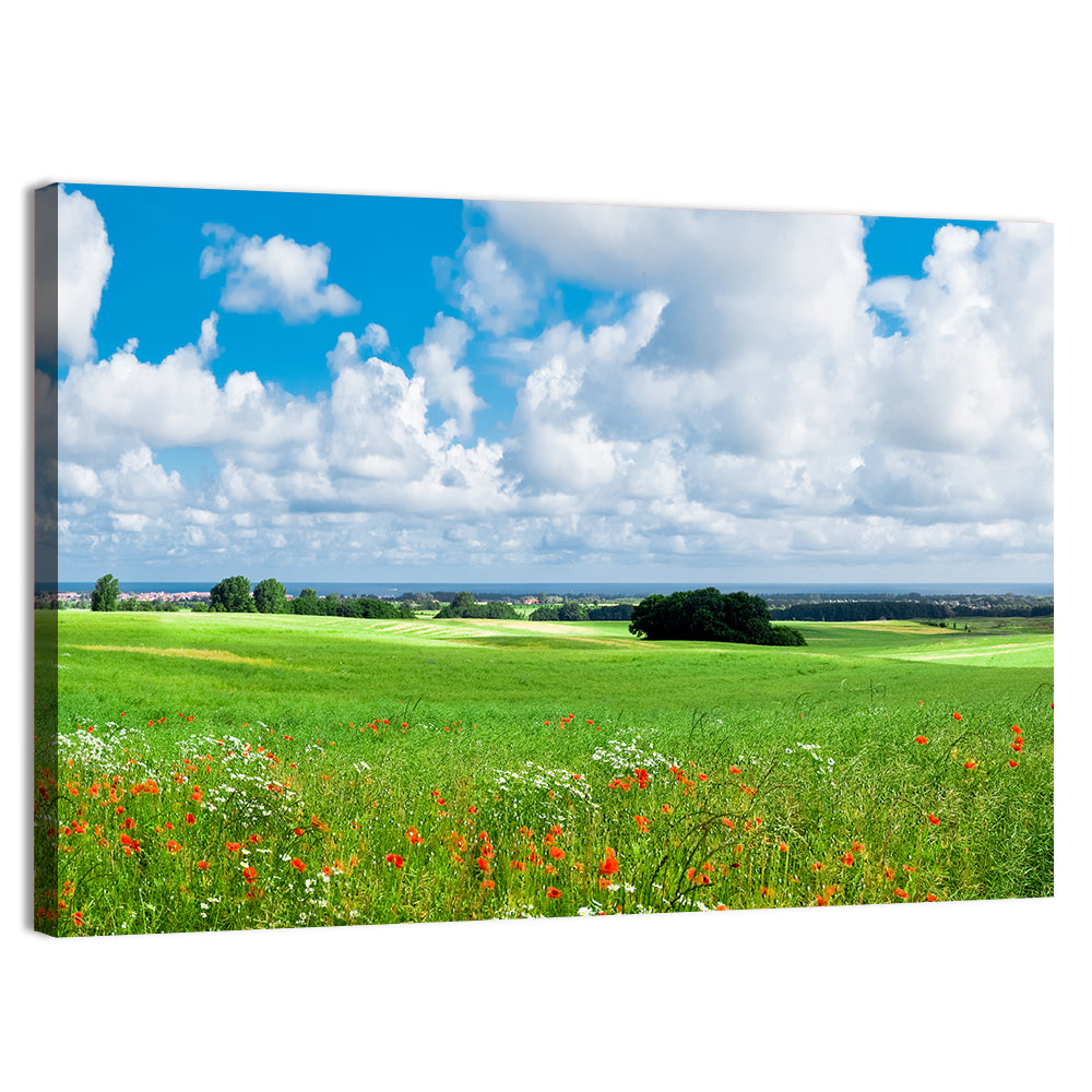 Summer Meadow with Poppies Wall Art, canvas print, landscape