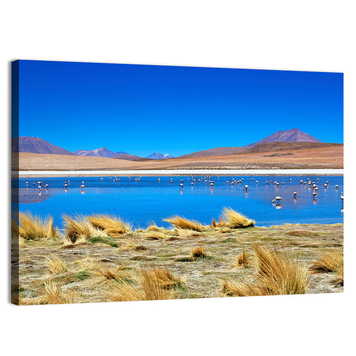 Laguna Flamingo Lake Wall Art as a canvas print