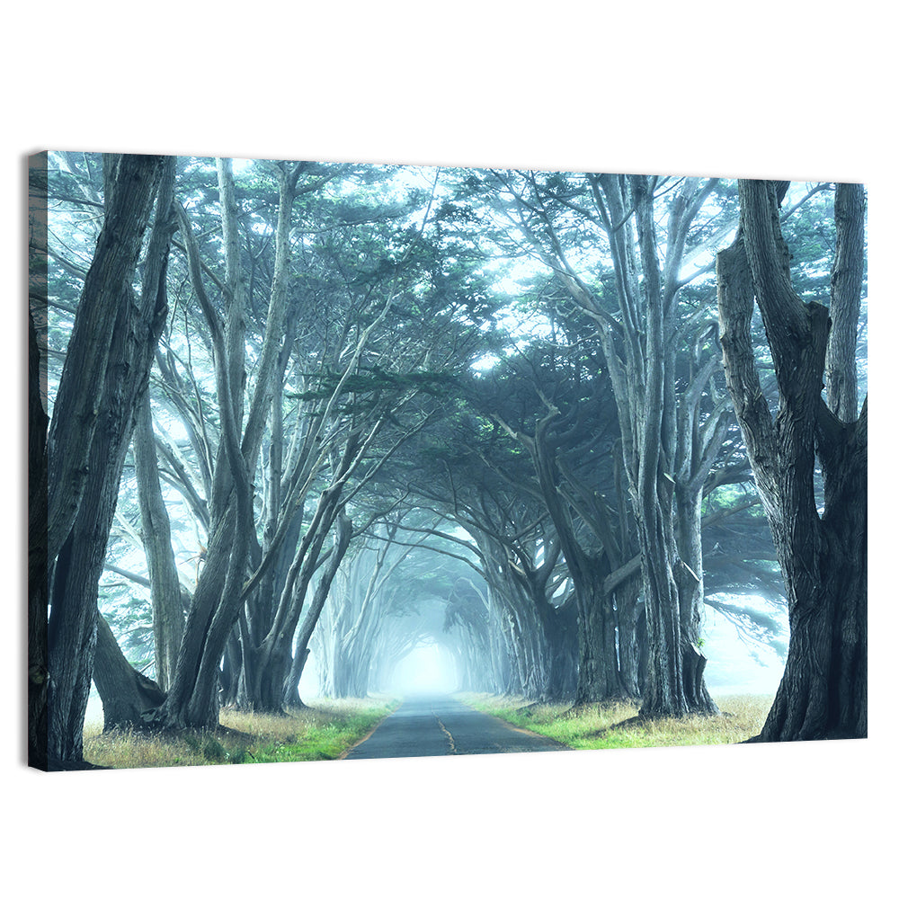 Foggy Cypress Tree Tunnel Wall Art