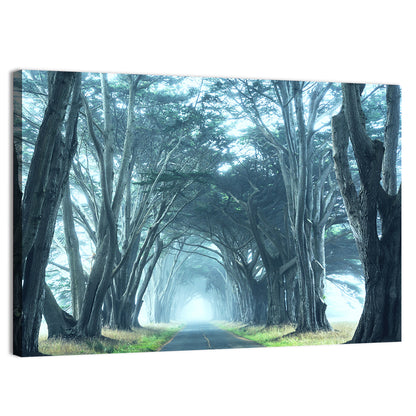 Foggy Cypress Tree Tunnel Wall Art